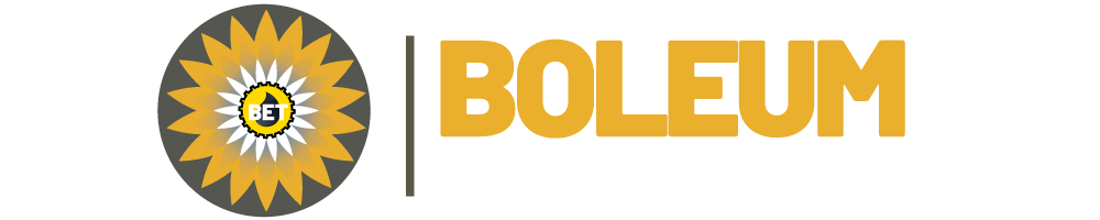 BOLEUM ENERGY & TECHNOLOGY LIMITED